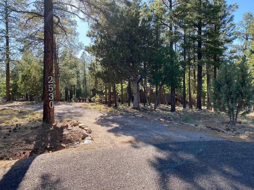 2530 Ruidoso Drive, Happy Jack, AZ 86024 - Image #1