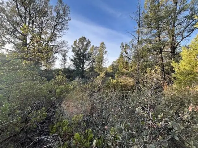#2