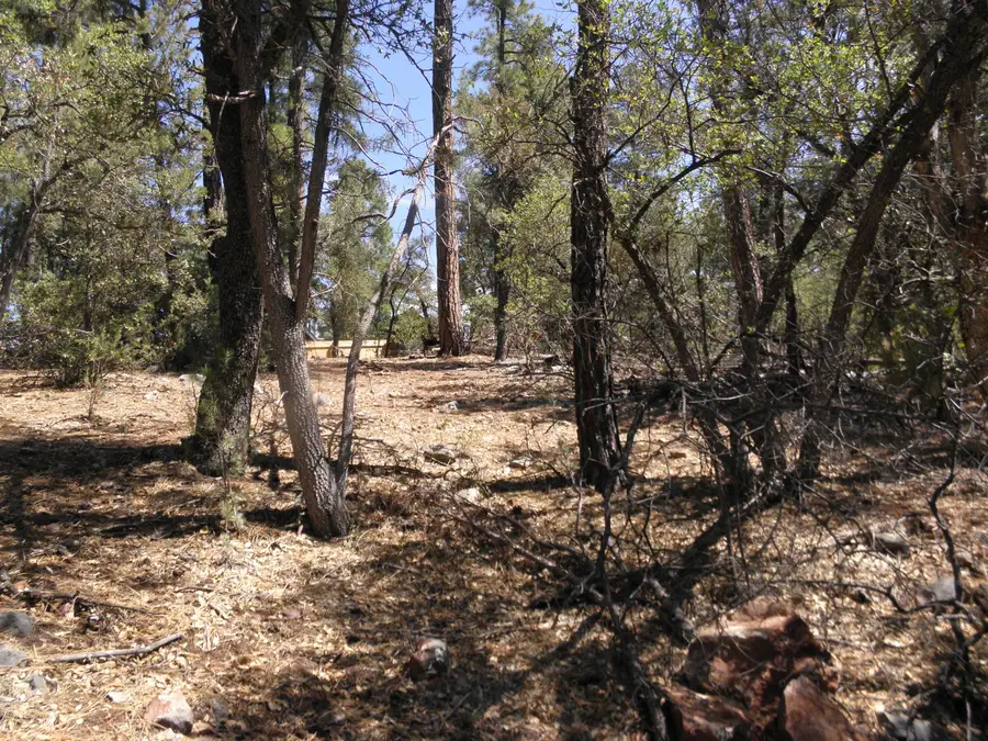 6454 W Bradshaw Drive, Pine, AZ 85544 - #3