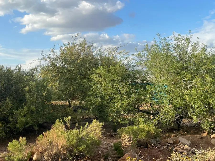 50 Ironwood Lane, Tonto Basin, AZ 85553 - #3