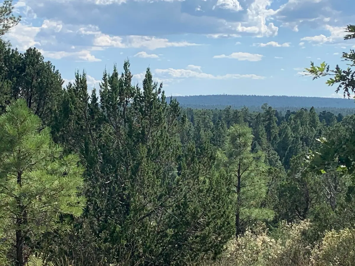 740 Ceremony Lane, Happy Jack, AZ 86024 - #1