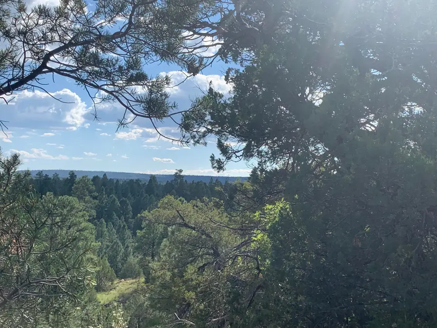 740 Ceremony Lane, Happy Jack, AZ 86024 - #2