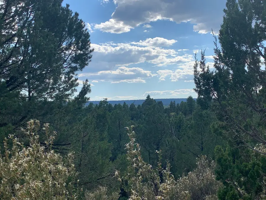 740 Ceremony Lane, Happy Jack, AZ 86024 - #3