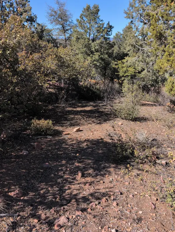 818 W Rim View Road, Payson, AZ 85541