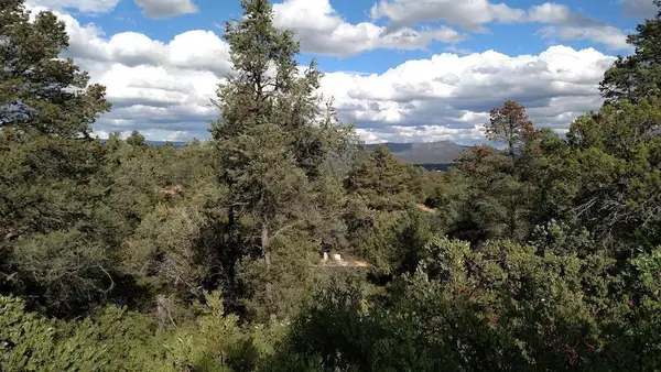 2311 E Feather Plume Lane, Payson, AZ 85541