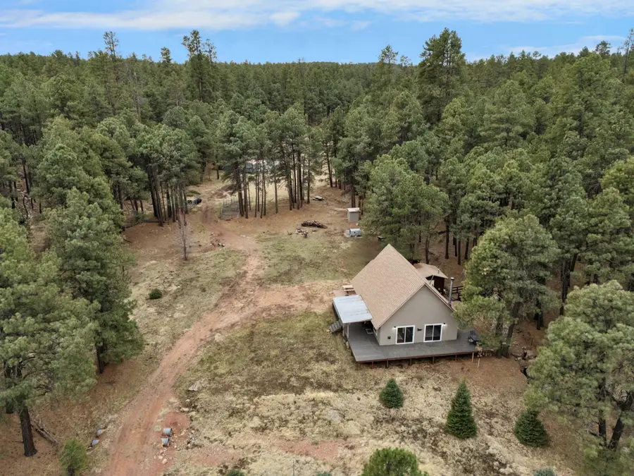 5348 Forest Service 701 Road, Happy Jack, AZ 86024 - #2