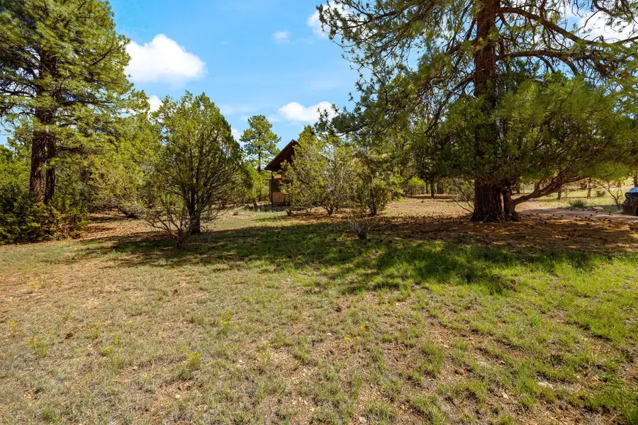 2240 Roundabout Way, Heber, AZ 85933 - Image #2