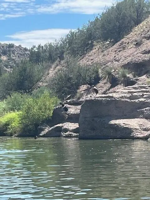 624 S Tonto Creek Drive, Payson, AZ 85541 - Image #2