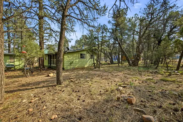 2887 Center Road, Overgaard, AZ 85933