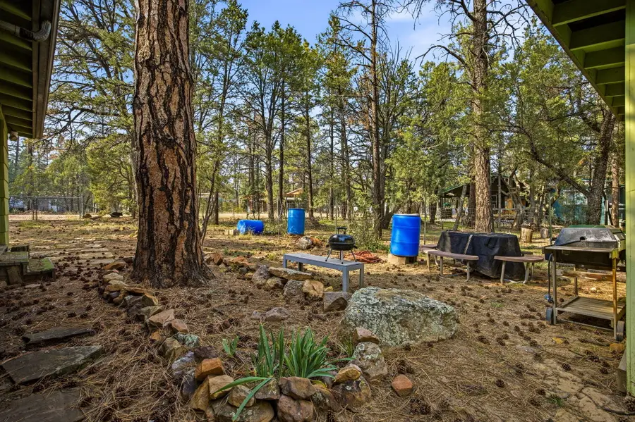 2887 Center Road, Overgaard, AZ 85933 - Image #3