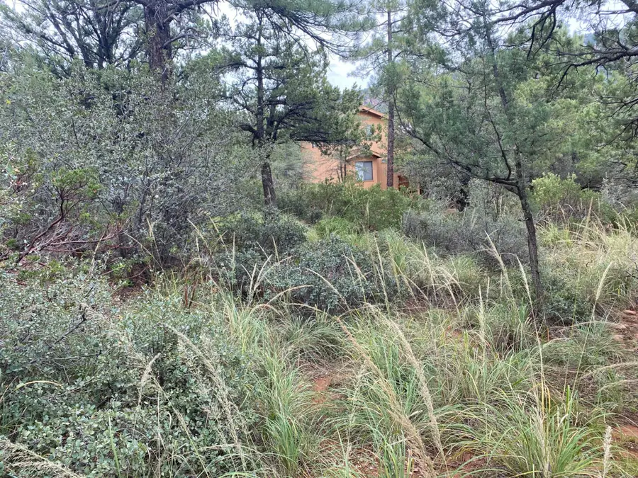 186 N Trails End Drive, Pine, AZ 85544 - Image #2