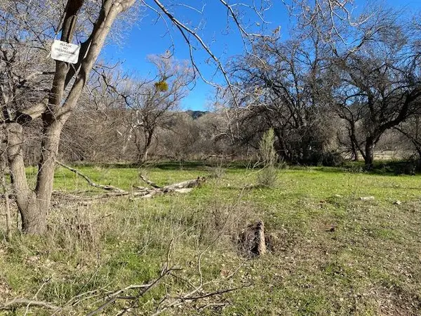 TBD Tonto Creek Drive, Payson, AZ 85541