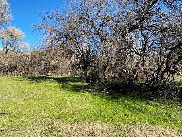 TBD Tonto Creek Drive, Payson, AZ 85541 - Image #2