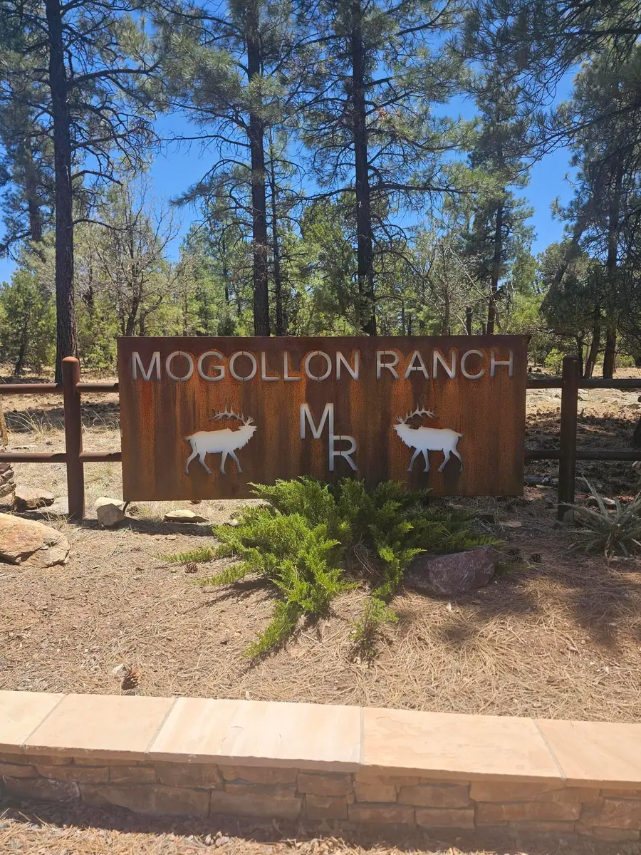 3662 Sunset Ridge Loop, Happy Jack, AZ 86024 - Image #2