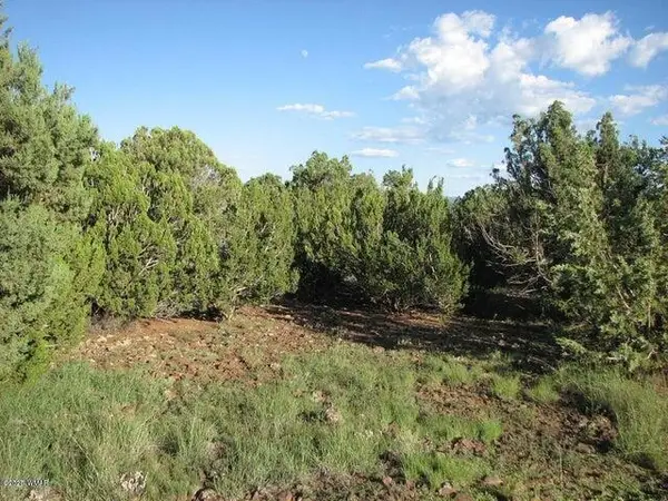 Sec 29 T14n, R17e: Parcel 6 - Cr, Heber, AZ 85928