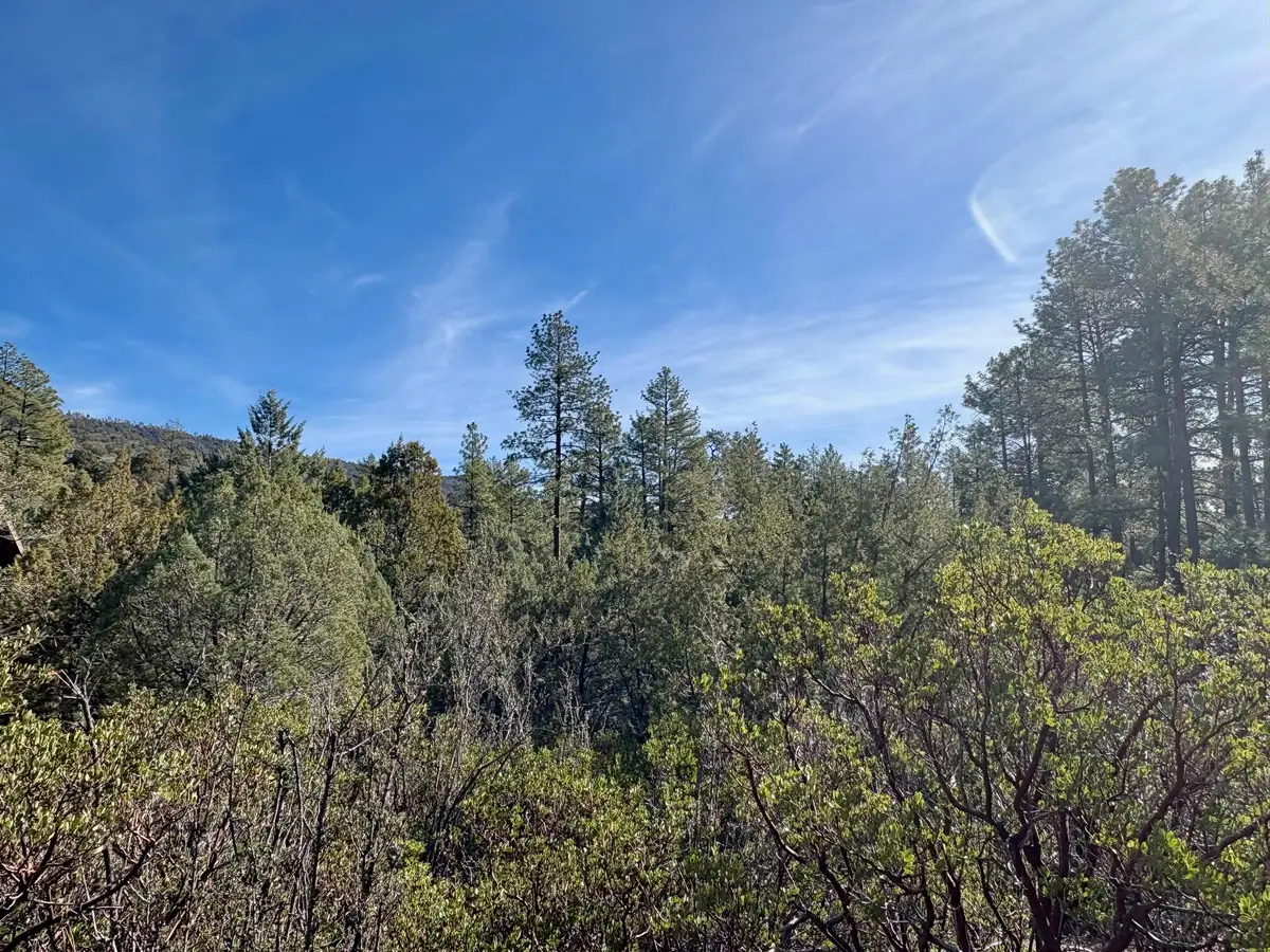 Lot 19 N Elk Rub Lane, Payson, AZ 85541 - #1