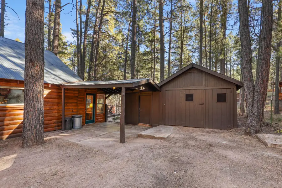 199 W Mockingbird Lane, Payson, AZ 85541 - #3