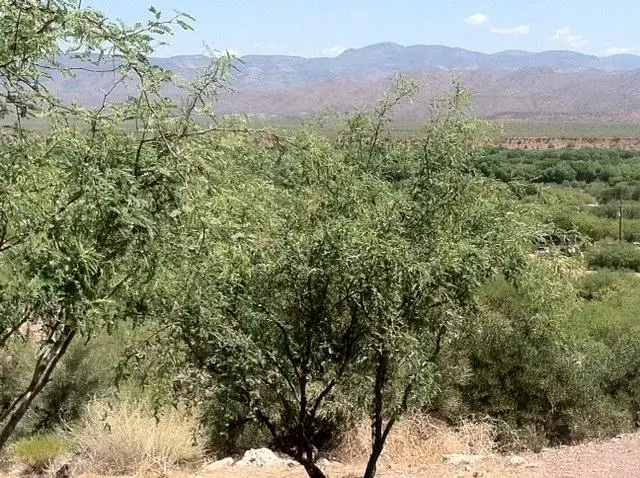 67 Saguaro Road, Tonto Basin, AZ 85553 - Image #2