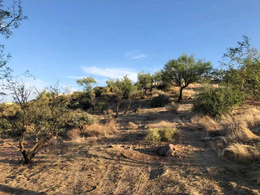 67 Saguaro Road, Tonto Basin, AZ 85553 - Image #3