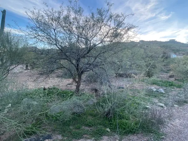 68 Saguaro Road, Tonto Basin, AZ 85553