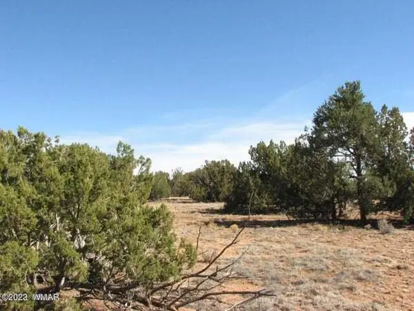 Lot 21 Chevelon Retreat #1, Heber, AZ 85928