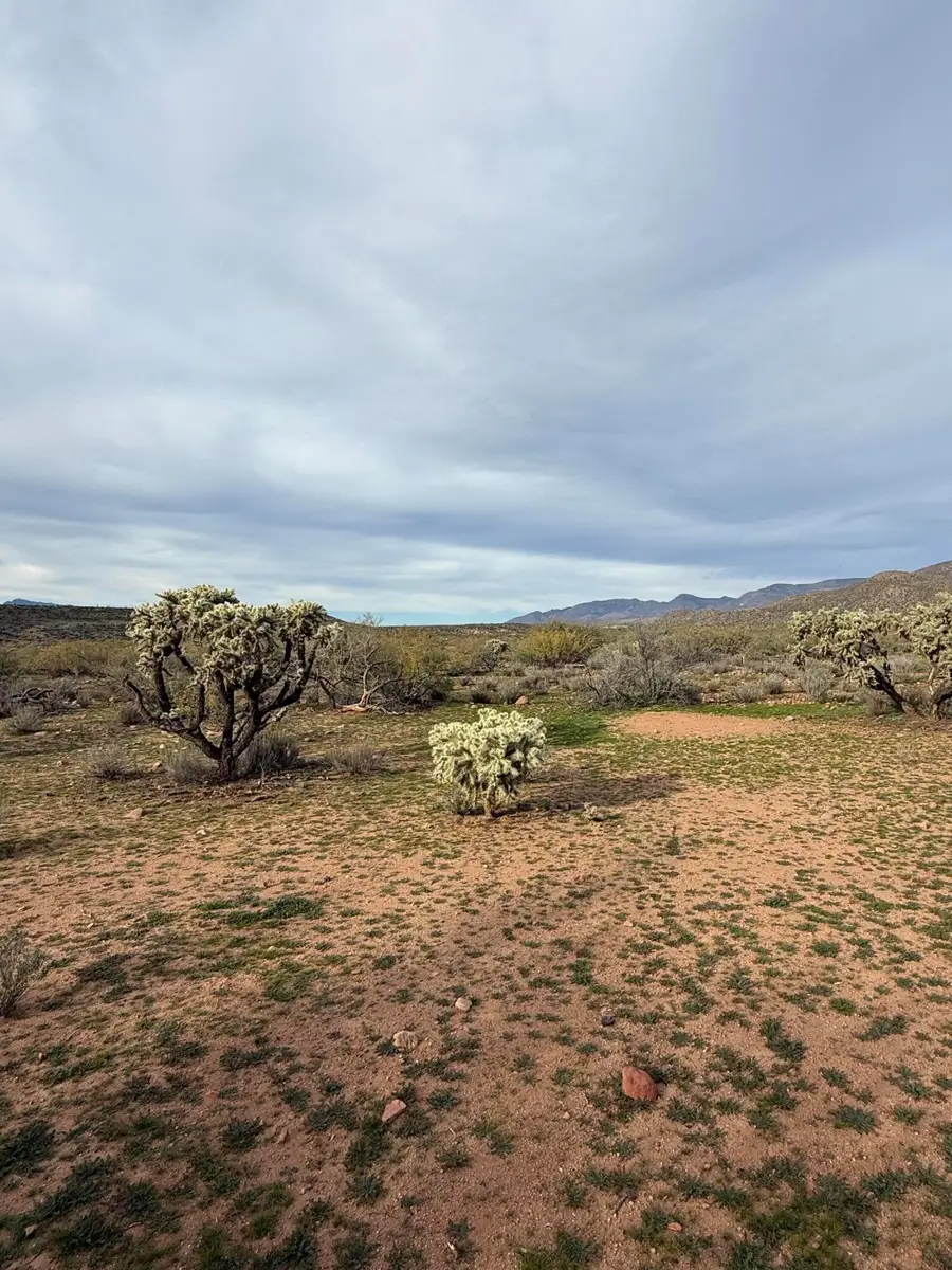 004R Bouquet Ranch Road, Tonto Basin, AZ 85553 - Image #2