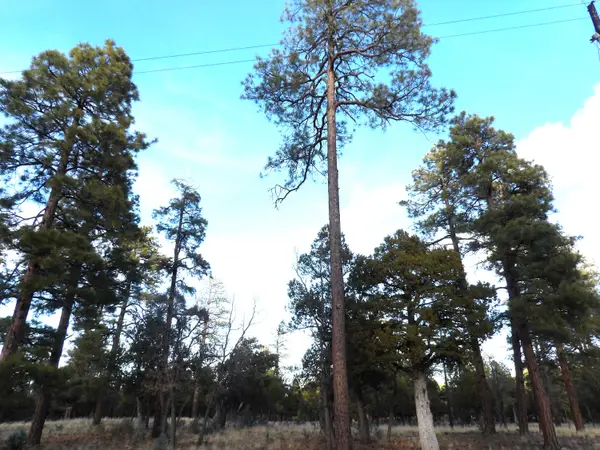 2941 Eagle Ridge Circle, Happy Jack, AZ 86024