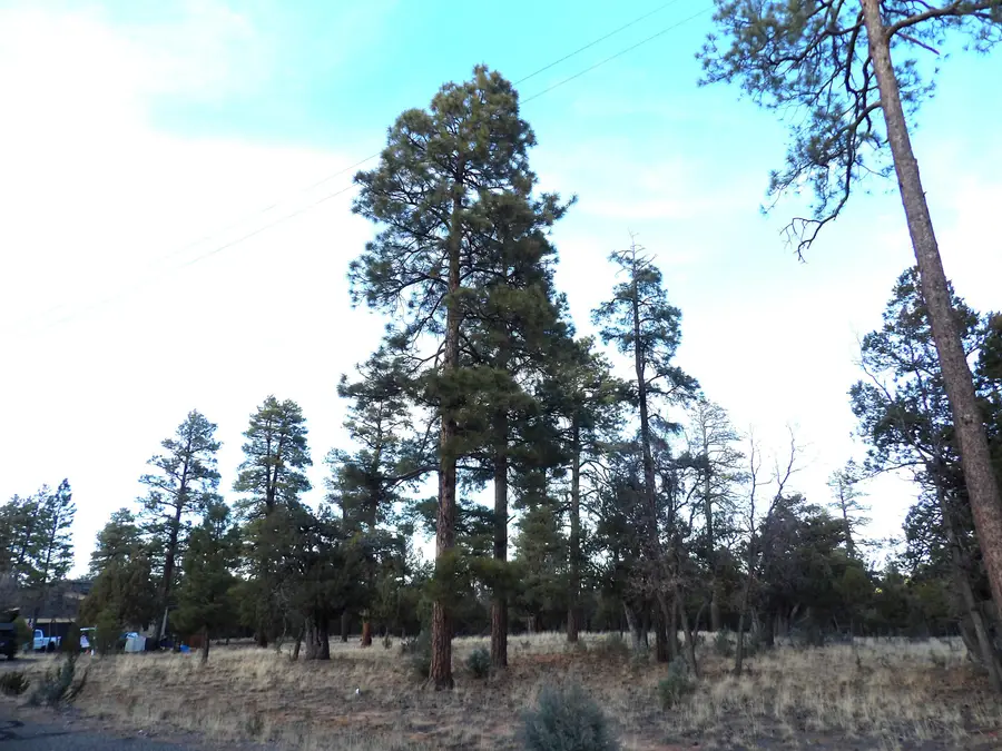 2941 Eagle Ridge Circle, Happy Jack, AZ 86024 - Image #2