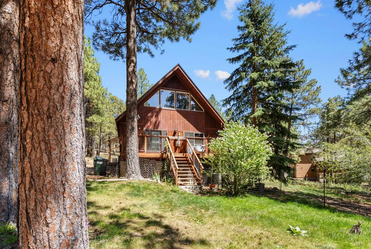 151 Deer Trail, Forest Lakes, AZ 85931 - #1