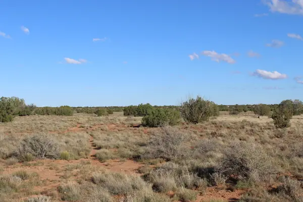 Sec 3 T14n,r17e:se4, Heber, AZ 85928