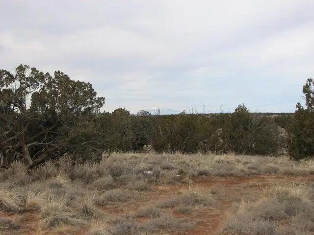 5886 Dark Canyon Drive, Heber, AZ 85928 - Image #3