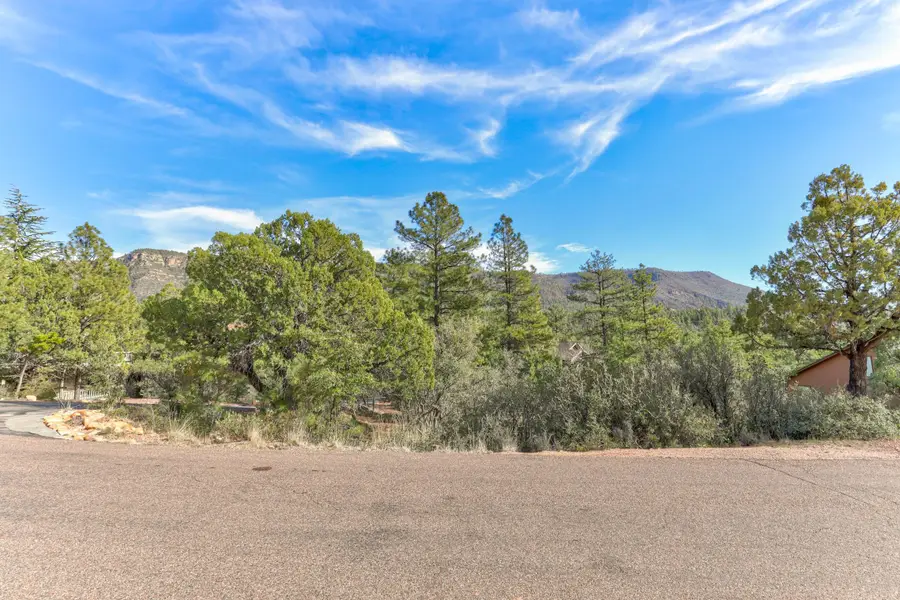 Lot 171 N Trails End Drive, Pine, AZ 85544 - Image #2