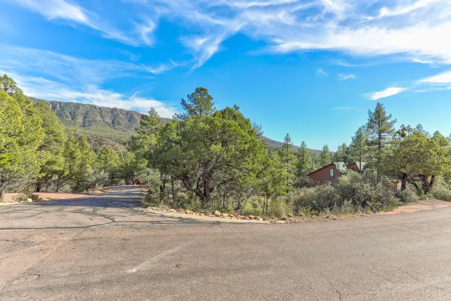Lot 171 N Trails End Drive, Pine, AZ 85544 - Image #3