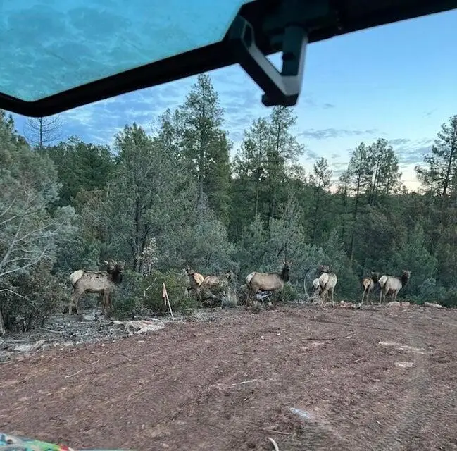 0 Fawn Drive, Pine, AZ 85544 - Image #1