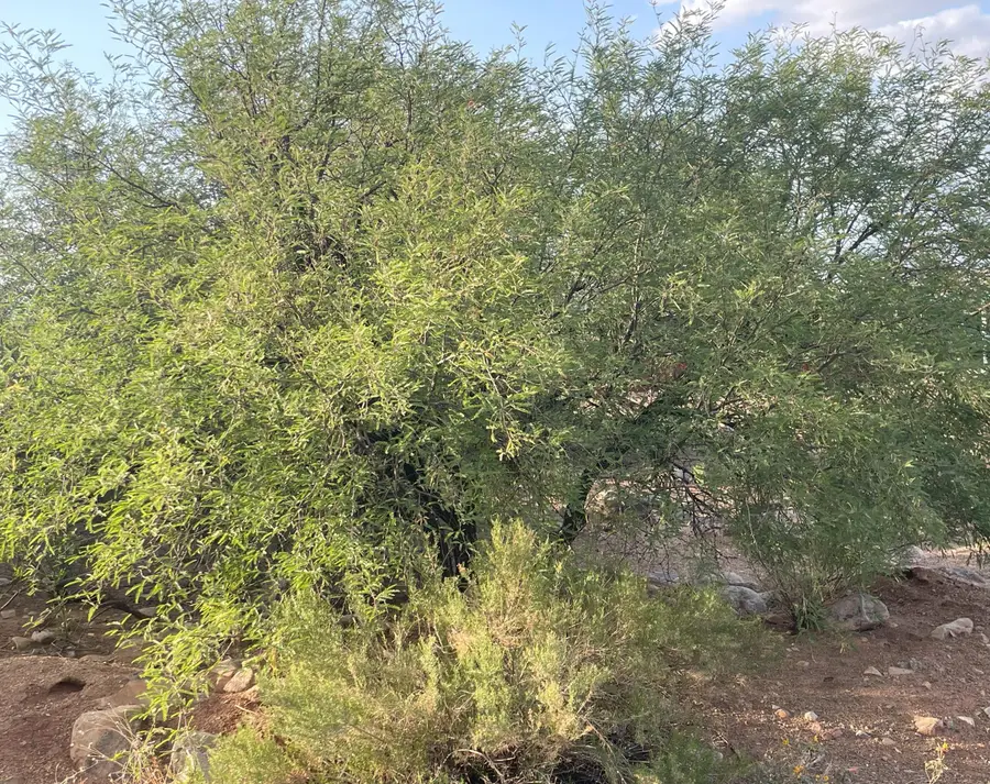 270 N Walnut Springs Boulevard, Tonto Basin, AZ 85553 - Image #2