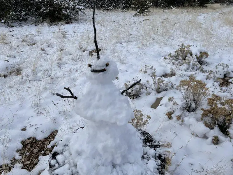 13537 Bly Station Road, Williams, AZ 86046 - #1