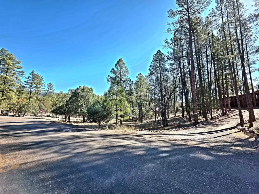 122 S Hunter Creek Drive, Payson, AZ 85541 - Image #2