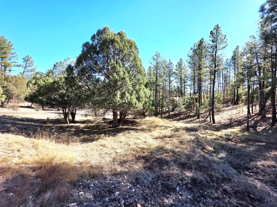 122 S Hunter Creek Drive, Payson, AZ 85541 - Image #3