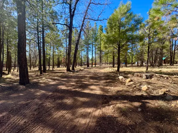 826 Jacks Canyon Drive, Happy Jack, AZ 86024