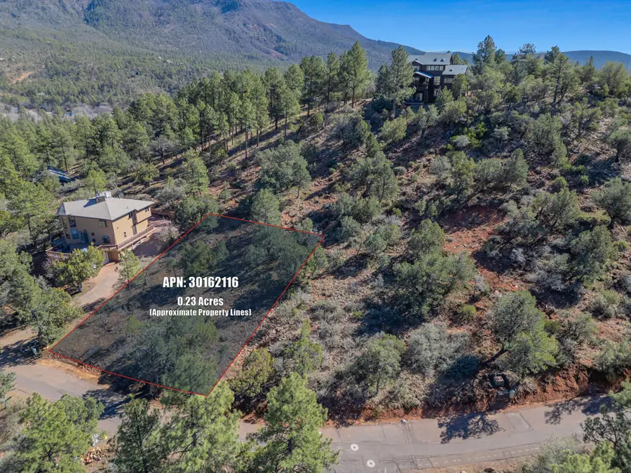 Lot 163 N Portal Drive, Pine, AZ 85544 - #2
