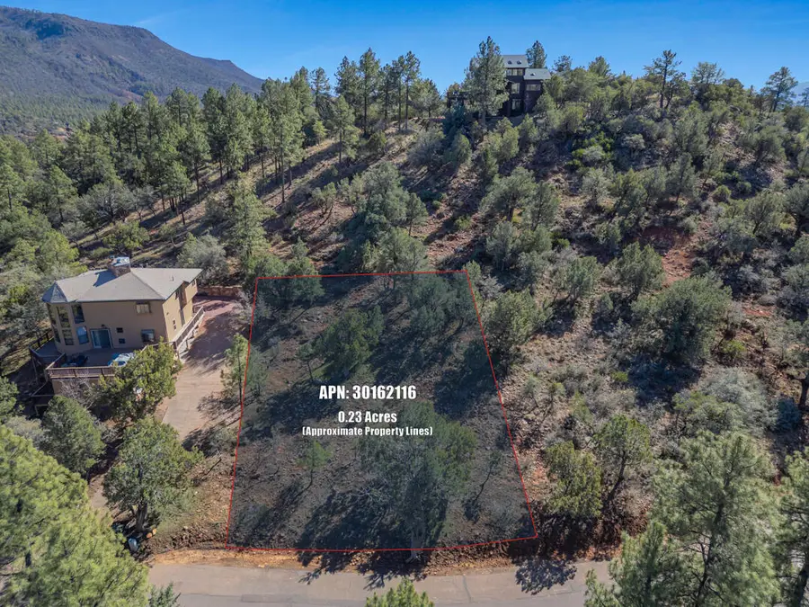 Lot 163 N Portal Drive, Pine, AZ 85544 - #3