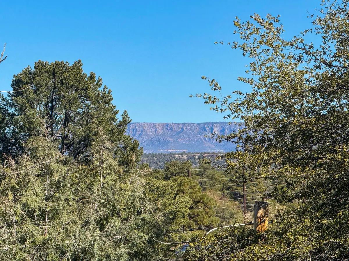 818 W Rim View Road, Payson, AZ 85541 - #1