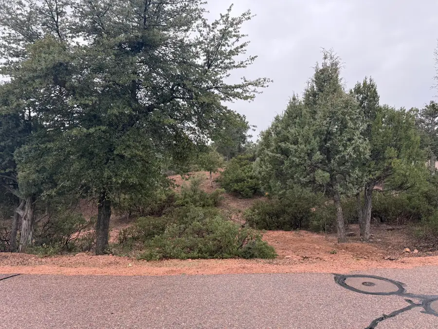 1106 N Karen Way, Payson, AZ 85541 - #2