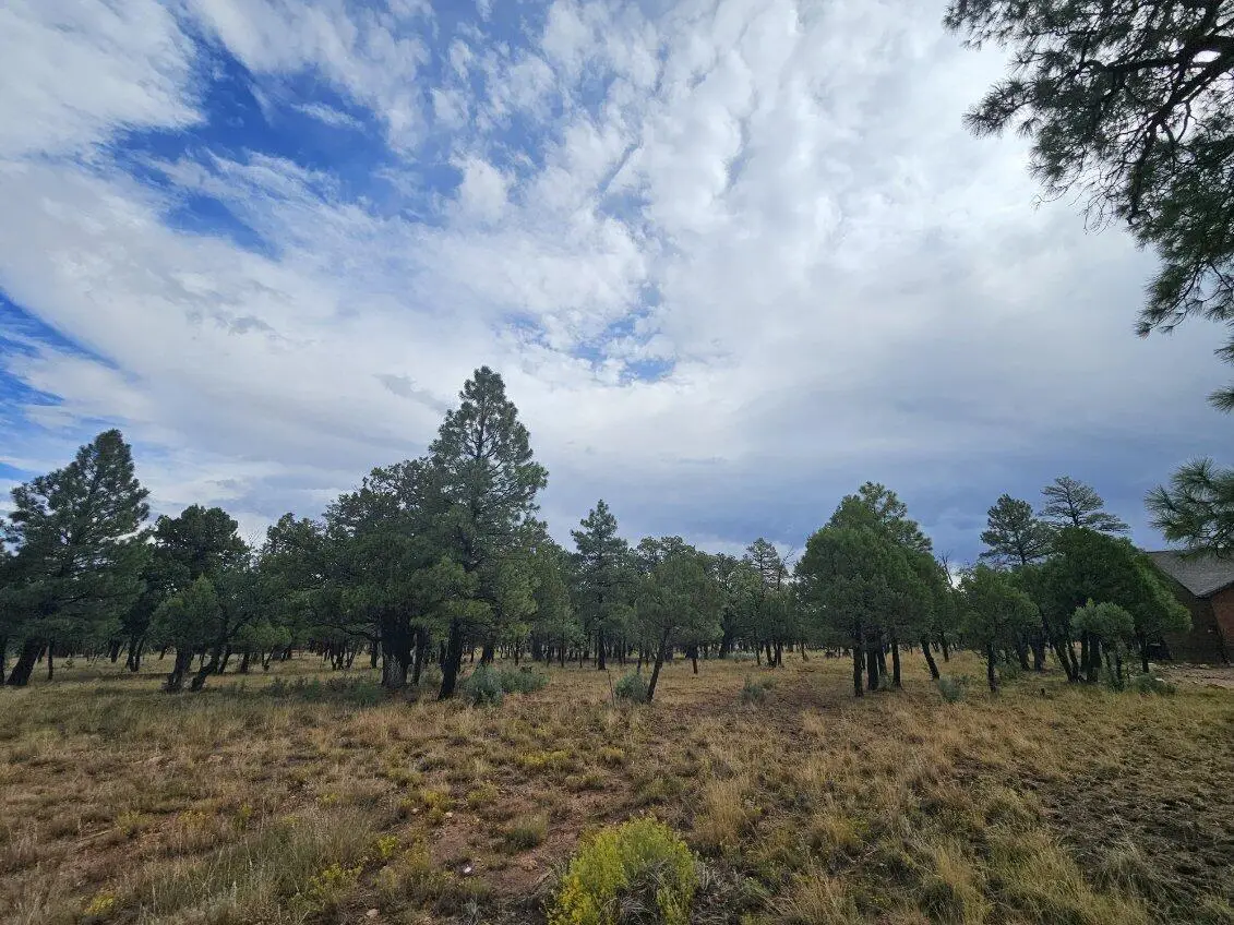 2399 Pine Crest Drive, Happy Jack, AZ 86024 - #1