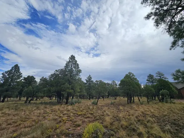 2399 Pine Crest Drive, Happy Jack, AZ 86024