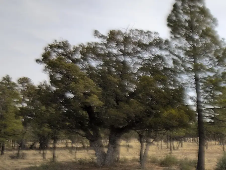 2399 Pine Crest Drive, Happy Jack, AZ 86024 - #2