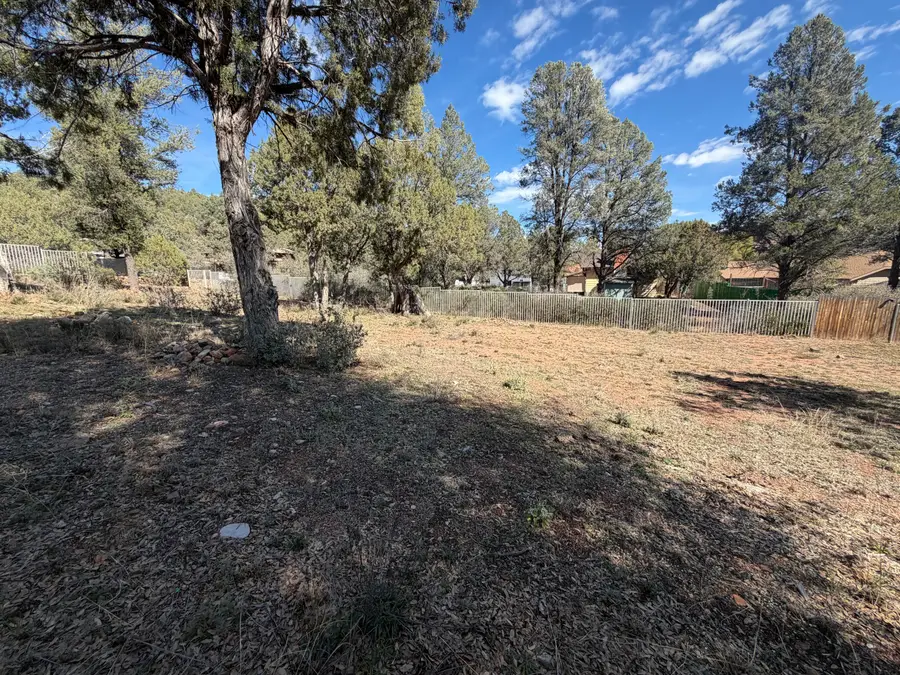 161 W Gene Drive, Payson, AZ 85541 - #3