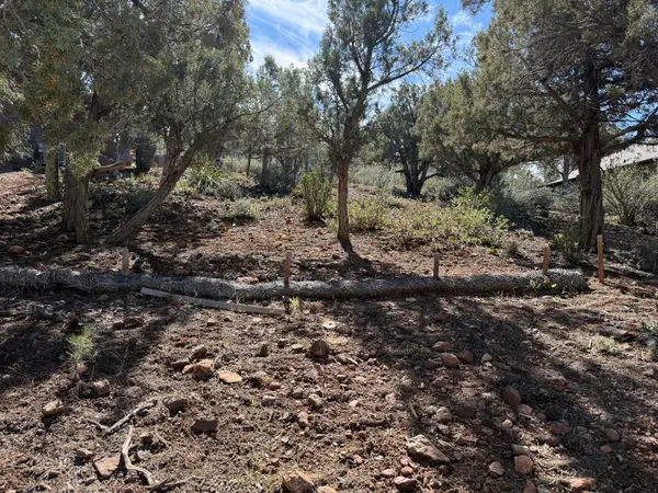 1122 S Sycamore Circle, Payson, AZ 85541