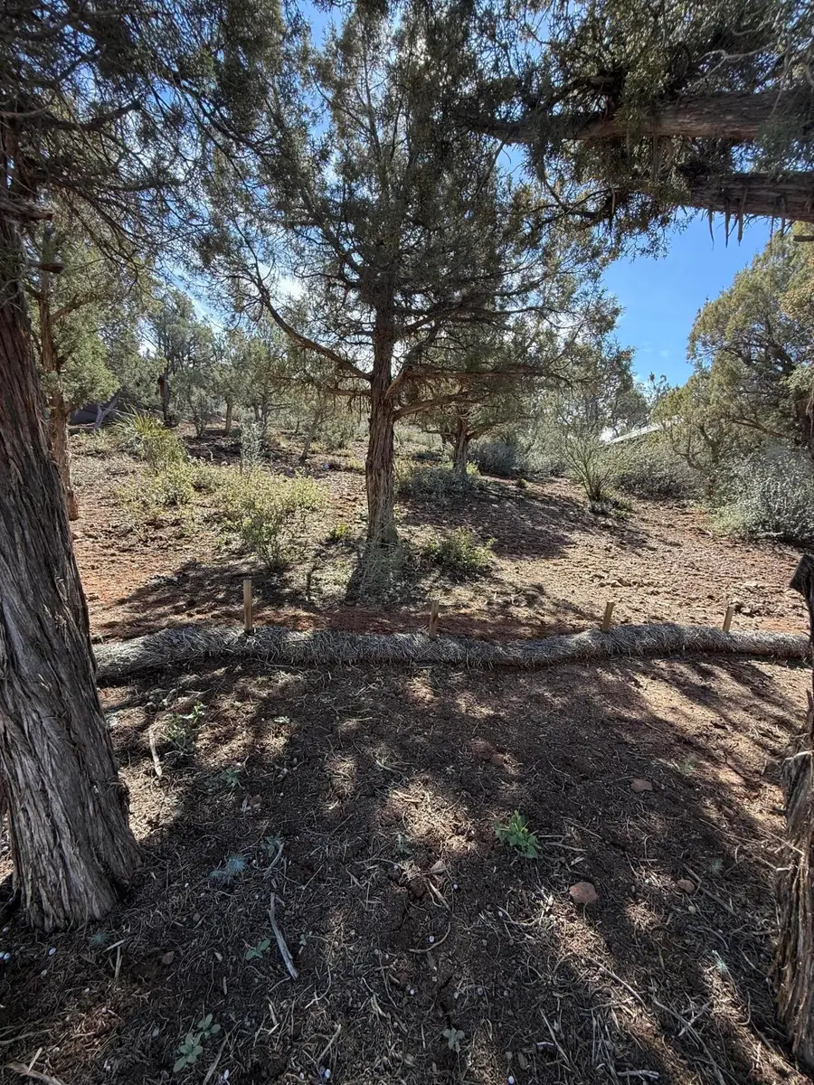 1122 S Sycamore Circle, Payson, AZ 85541 - #3