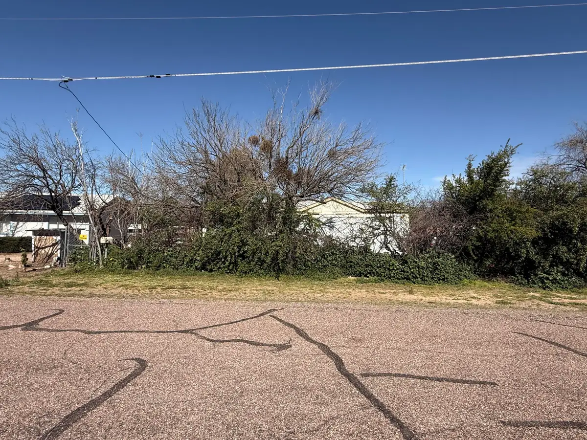 131 Forrest Drive, Tonto Basin, AZ 85553 - #1